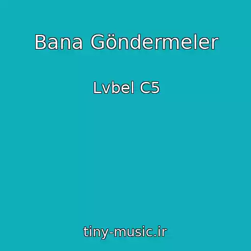کاور آهنگ Bana Göndermeler از Lvbel C5