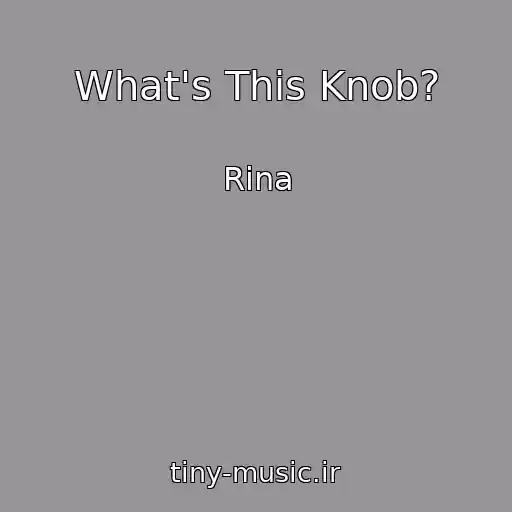 کاور آهنگ What's This Knob? از Rina