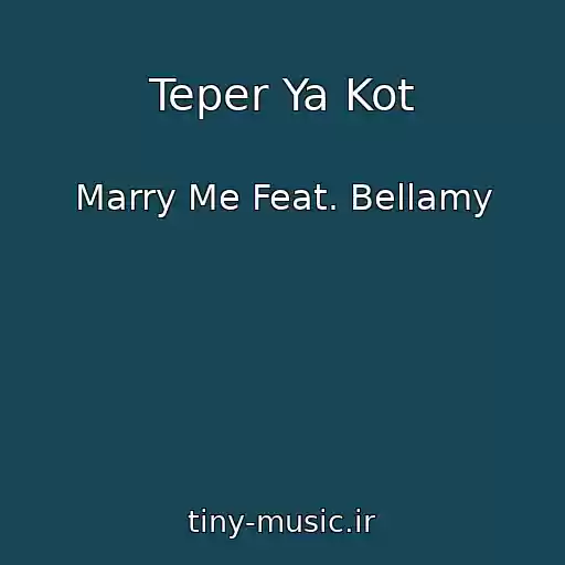 کاور آهنگ Teper Ya Kot از Marry Me Feat. Bellamy