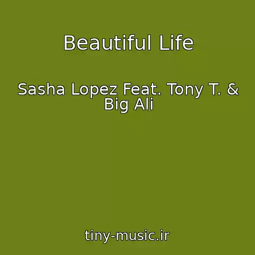 کاور آهنگ Beautiful Life از Sasha Lopez Feat. Tony T. & Big Ali