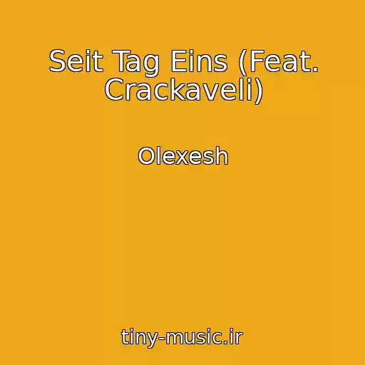 کاور آهنگ Seit Tag Eins (Feat. Crackaveli) از Olexesh