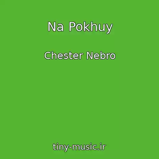 کاور آهنگ Na Pokhuy از Chester Nebro