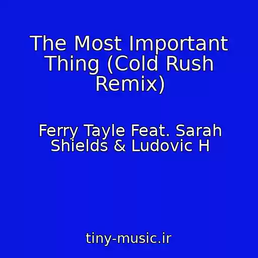 کاور آهنگ The Most Important Thing (Cold Rush Remix) از Ferry Tayle Feat. Sarah Shields & Ludovic H