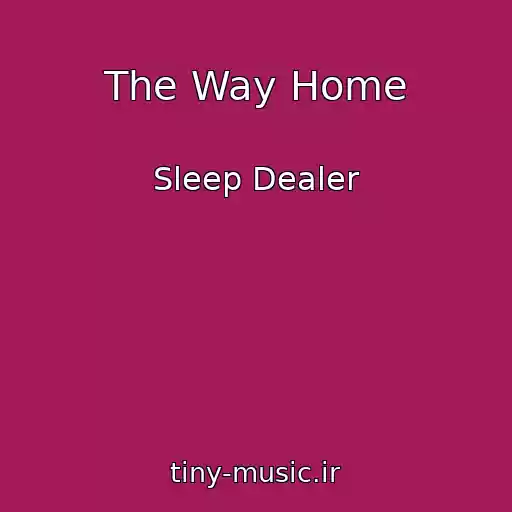 کاور آهنگ The Way Home از Sleep Dealer