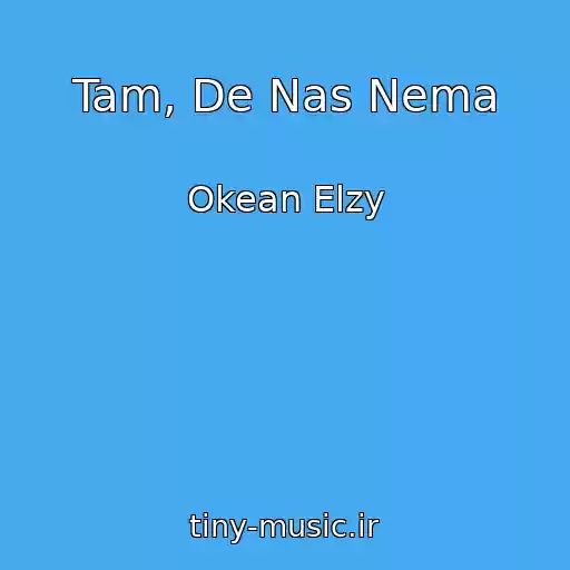کاور آهنگ Tam, De Nas Nema از Okean Elzy