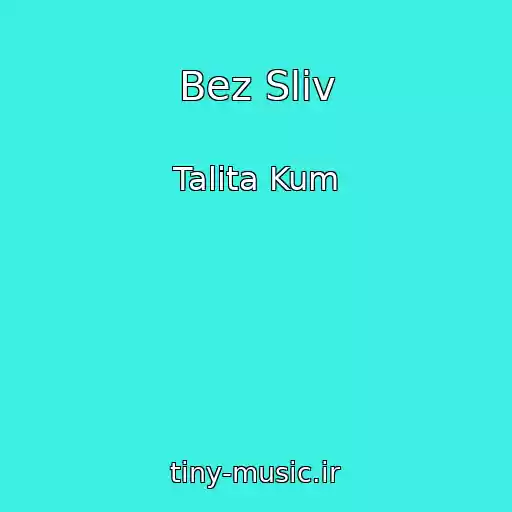کاور آهنگ Bez Slіv از Talіta Kum