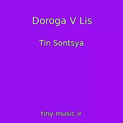 کاور آهنگ Doroga V Lis از Tin Sontsya