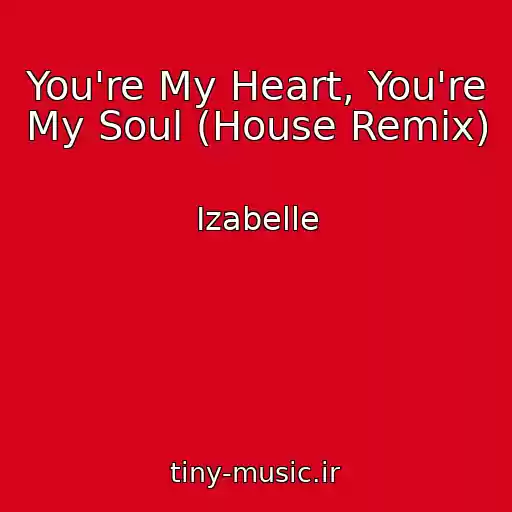 کاور آهنگ You're My Heart, You're My Soul (House Remix) از Izabelle