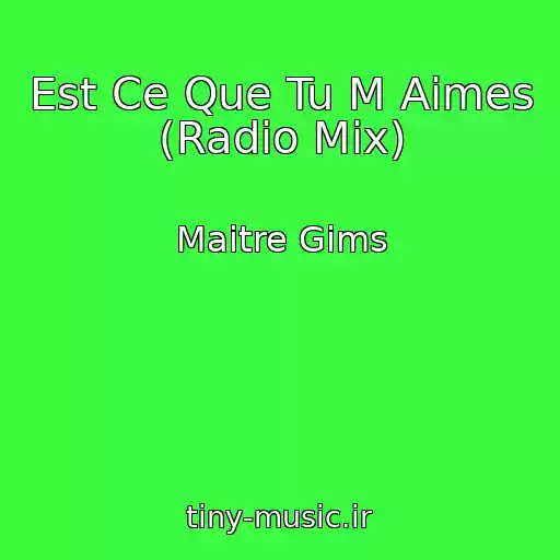 کاور آهنگ Est Ce Que Tu M Aimes (Radio Mix) از Maitre Gims