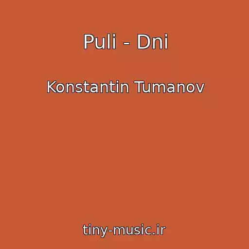 کاور آهنگ Puli - Dni از Konstantin Tumanov