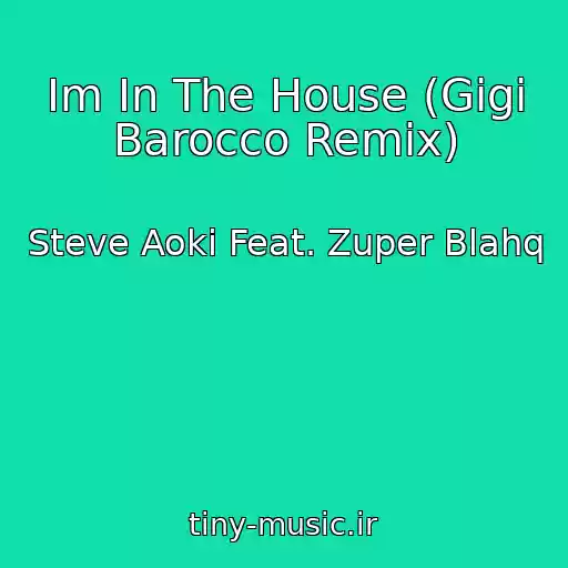 کاور آهنگ Im In The House (Gigi Barocco Remix) از Steve Aoki Feat. Zuper Blahq