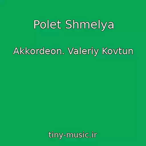 کاور آهنگ Polet Shmelya از Akkordeon. Valeriy Kovtun