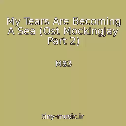 کاور آهنگ My Tears Are Becoming A Sea (Ost Mockingjay Part 2) از M83