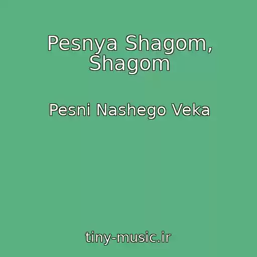 کاور آهنگ Pesnya Shagom, Shagom از Pesni Nashego Veka