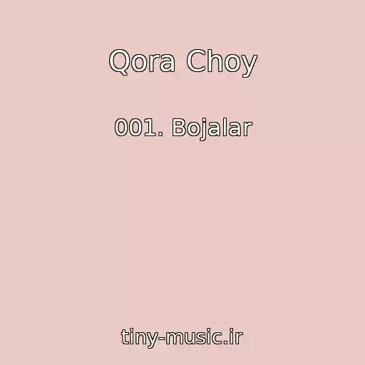 کاور آهنگ Qora Choy از 001. Bojalar