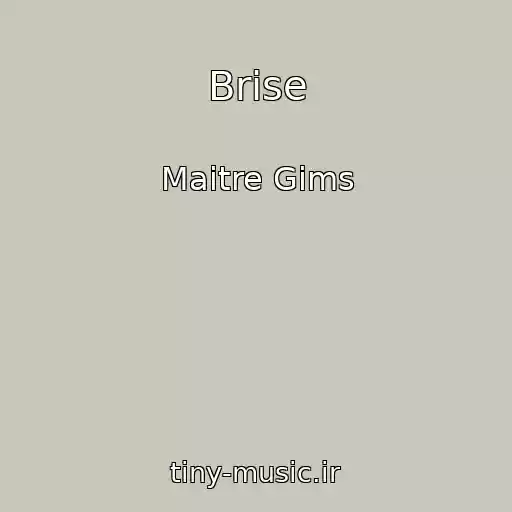 کاور آهنگ Brise از Maitre Gims
