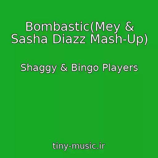 کاور آهنگ Bombastic(Mey & Sasha Diazz Mash-Up) از Shaggy & Bingo Players