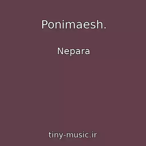 کاور آهنگ Ponimaesh. از Nepara