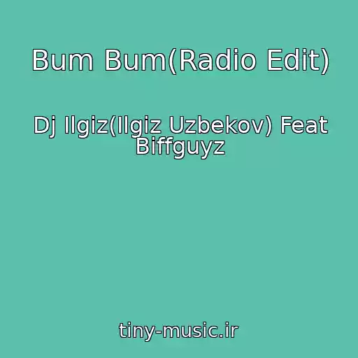 کاور آهنگ Bum Bum(Radio Edit) از Dj Ilgiz(Ilgiz Uzbekov) Feat Biffguyz