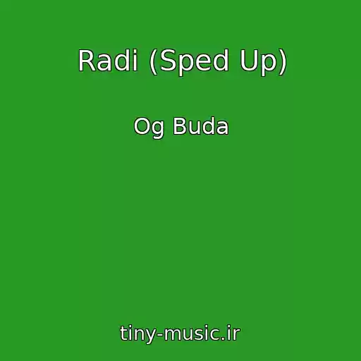 کاور آهنگ Radi (Sped Up) از Og Buda