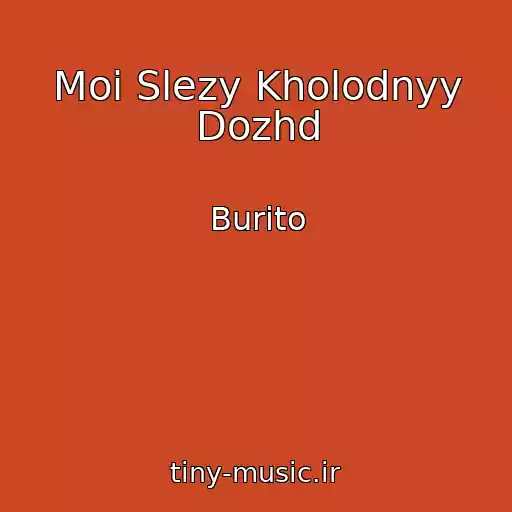 کاور آهنگ Moi Slezy Kholodnyy Dozhd از Burito