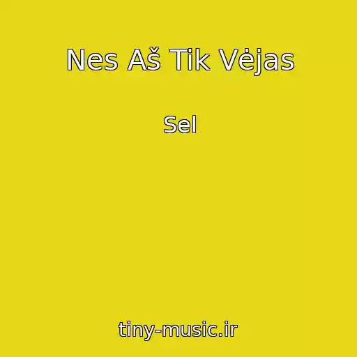 کاور آهنگ Nes Aš Tik Vėjas از Sel