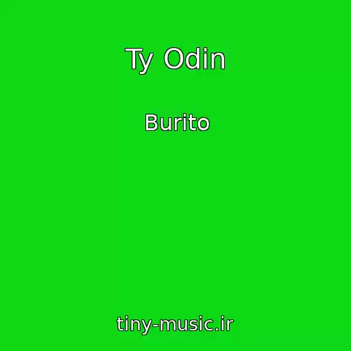 کاور آهنگ Ty Odin از Burito