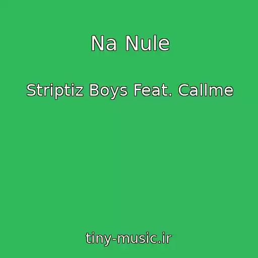کاور آهنگ Na Nule از Striptiz Boys Feat. Callme