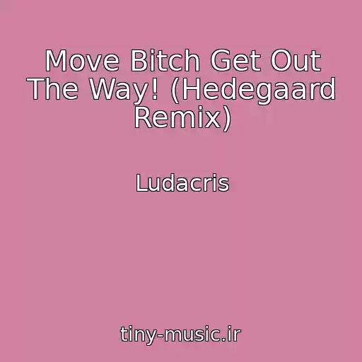 کاور آهنگ Move Bitch Get Out The Way! (Hedegaard Remix) از Ludacris