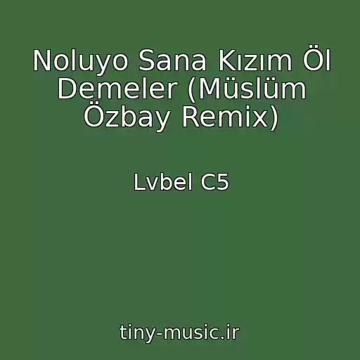 کاور آهنگ Noluyo Sana Kızım Öl Demeler (Müslüm Özbay Remix) از Lvbel C5