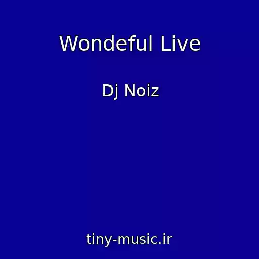 کاور آهنگ Wondeful Live از Dj Noiz