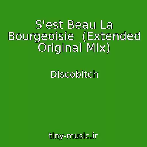 کاور آهنگ S'est Beau La Bourgeoisie  (Extended Original Mix) از Discobitch