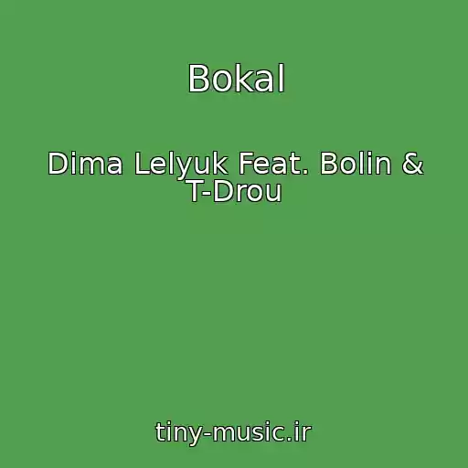 کاور آهنگ Bokal از Dima Lelyuk Feat. Bolin & T-Drou