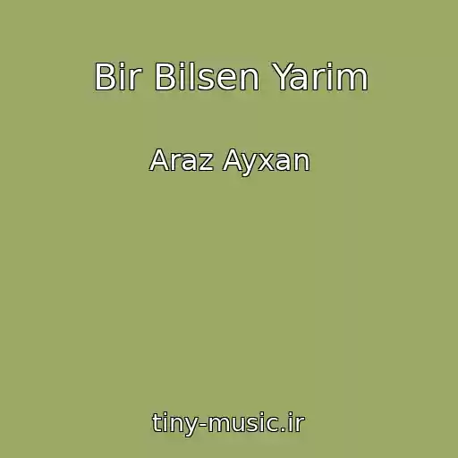 کاور آهنگ Bir Bilsen Yarim از Araz Ayxan