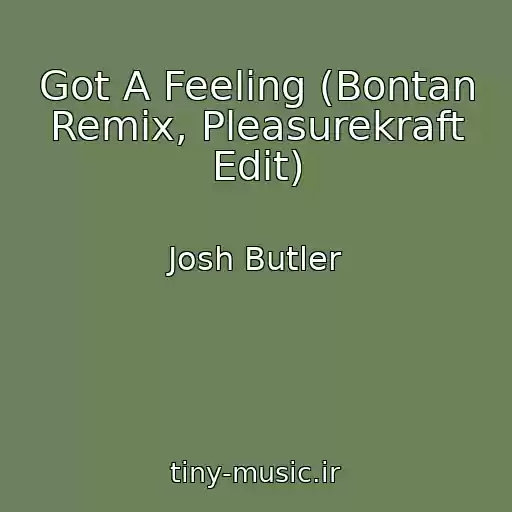 کاور آهنگ Got A Feeling (Bontan Remix, Pleasurekraft Edit) از Josh Butler