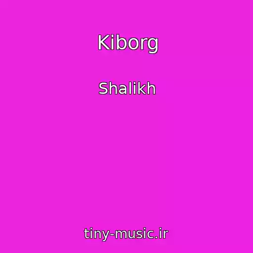 کاور آهنگ Kiborg از Shalikh