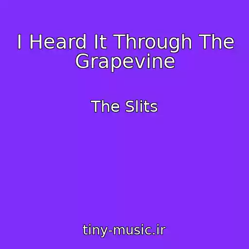 کاور آهنگ I Heard It Through The Grapevine از The Slits