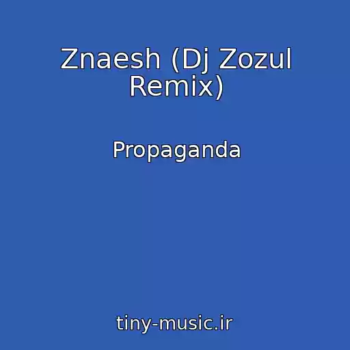 کاور آهنگ Znaesh (Dj Zozul Remix) از Propaganda