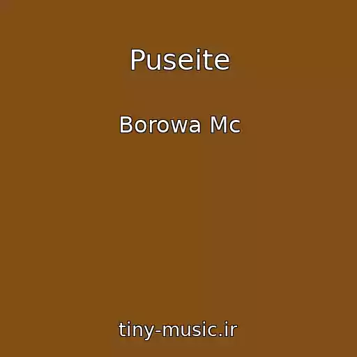 کاور آهنگ Puseite از Borowa Mc