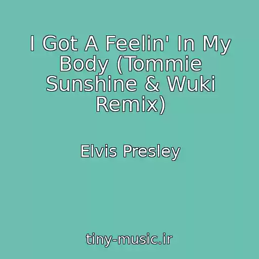کاور آهنگ I Got A Feelin' In My Body (Tommie Sunshine & Wuki Remix) از Elvis Presley