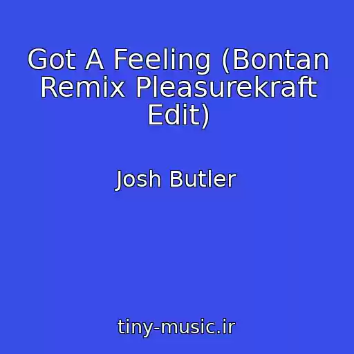 کاور آهنگ Got A Feeling (Bontan Remix Pleasurekraft Edit) از Josh Butler
