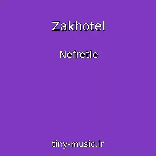 کاور آهنگ Zakhotel از Nefretle