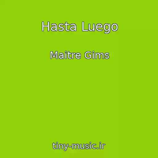 کاور آهنگ Hasta Luego از Maitre Gims