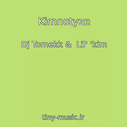 کاور آهنگ Kimnotyze از Dj Tomekk &  Lil' 'kim