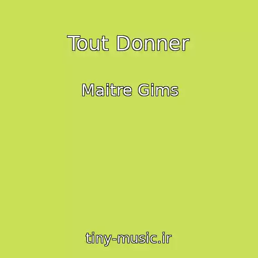 کاور آهنگ Tout Donner از Maitre Gims