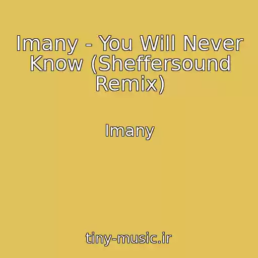 کاور آهنگ Imany - You Will Never Know (Sheffersound Remix) از Imany