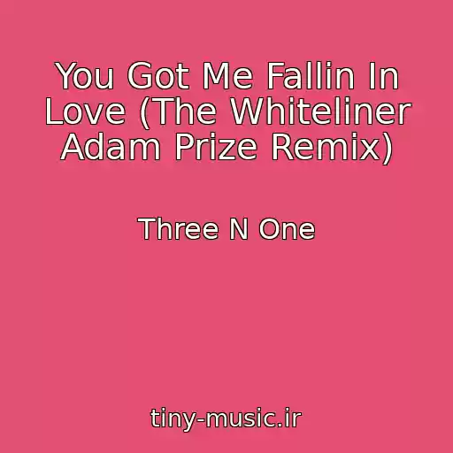 کاور آهنگ You Got Me Fallin In Love (The Whiteliner Adam Prize Remix) از Three N One