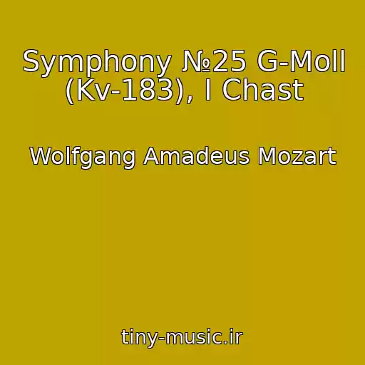 کاور آهنگ Symphony №25 G-Moll (Kv-183), I Chast از Wolfgang Amadeus Mozart
