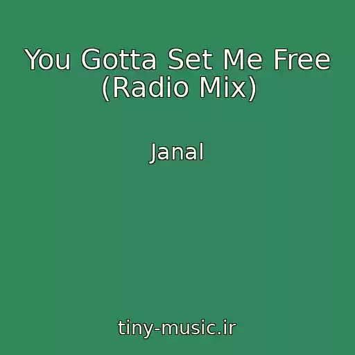 کاور آهنگ You Gotta Set Me Free (Radio Mix) از Janal
