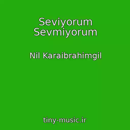 کاور آهنگ Seviyorum Sevmiyorum از Nil Karaibrahimgil